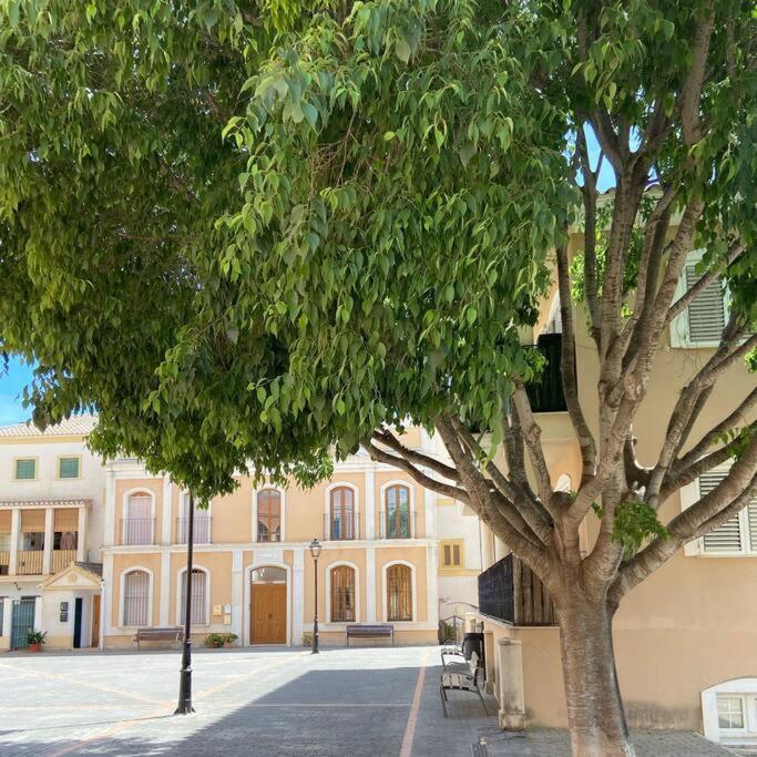 Apartamento Mediterraneo Entre Vinedos Jesus Pobre Eksteriør billede