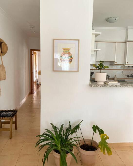 Apartamento Mediterraneo Entre Vinedos Jesus Pobre Eksteriør billede