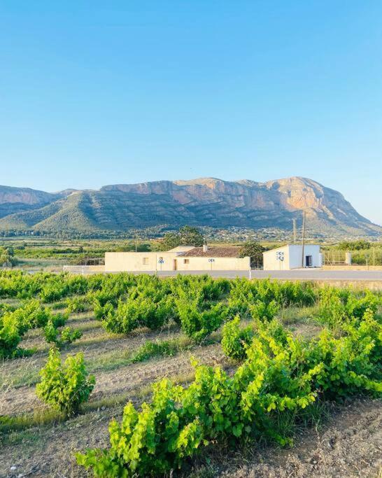 Apartamento Mediterraneo Entre Vinedos Jesus Pobre Eksteriør billede